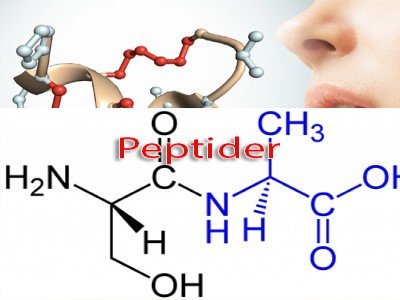 Peptider
